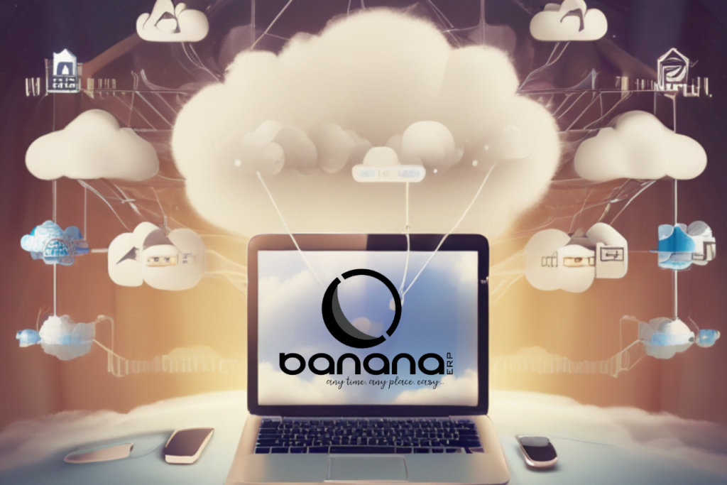 La nube de Banana ERP
