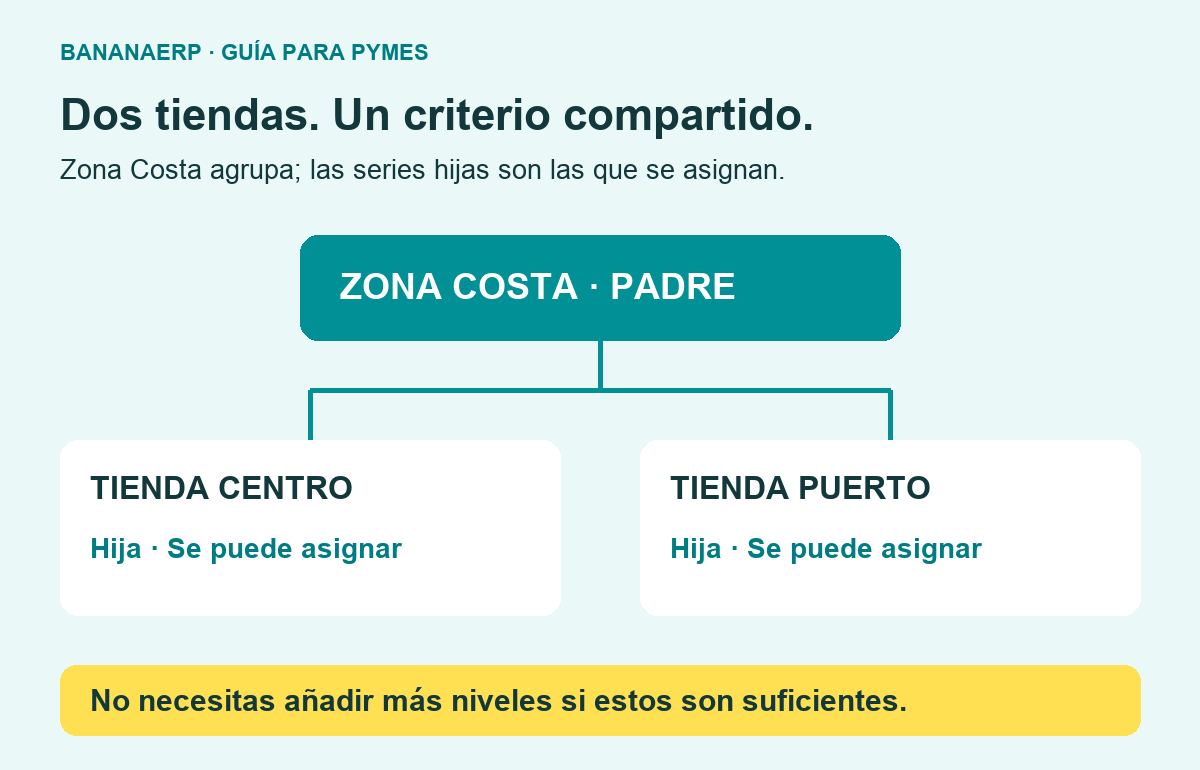 Ejemplo de una serie padre Zona Costa con dos hijas asignables: Tienda Centro y Tienda Puerto.
