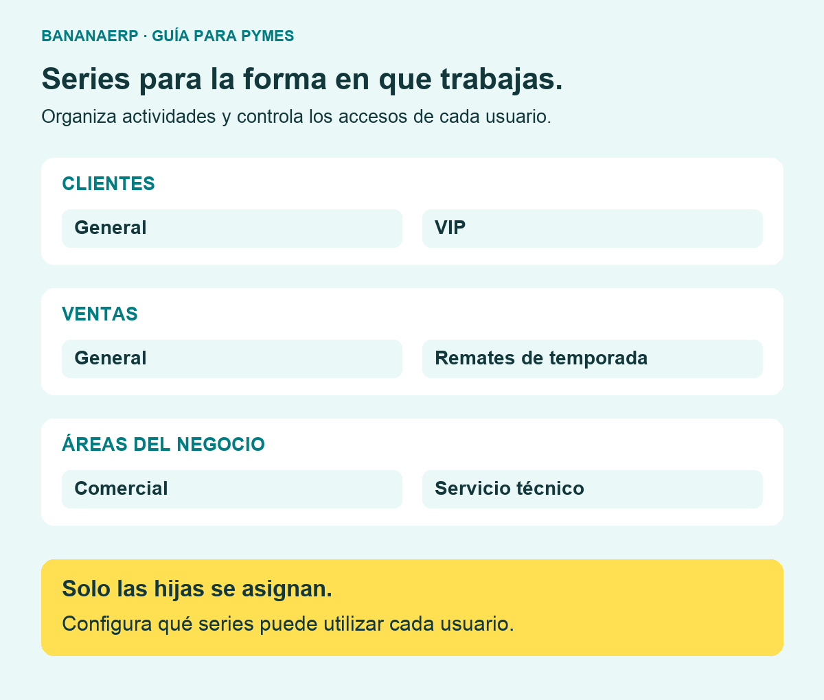 Ejemplos de series: clientes generales y VIP, ventas generales y remates de temporada, áreas comercial y servicio técnico. Las hijas son asignables y sus accesos se configuran por usuario.